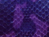 3. 紫×藍　水蛇皮